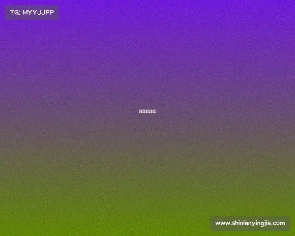 张艺凡团队成员